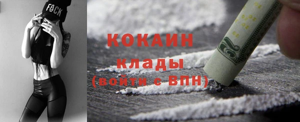 дмт Лиски