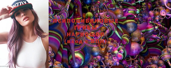 дживик Липки