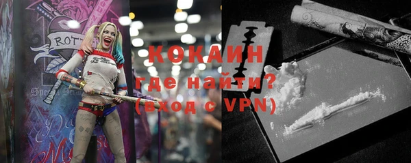 дмт Лиски
