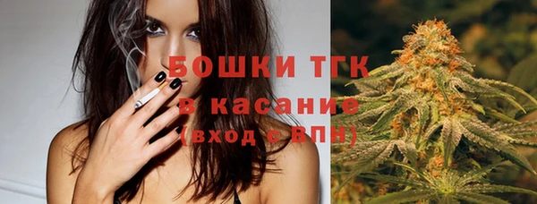 дмт Лиски