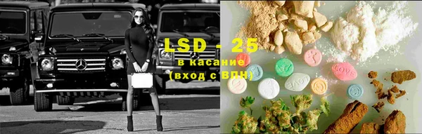 дживик Липки